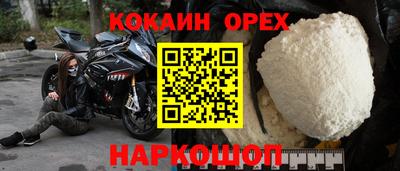 спиды Кингисепп