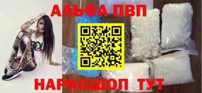 спиды Кингисепп