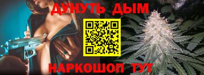 спиды Кингисепп