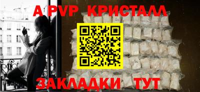 спиды Кингисепп