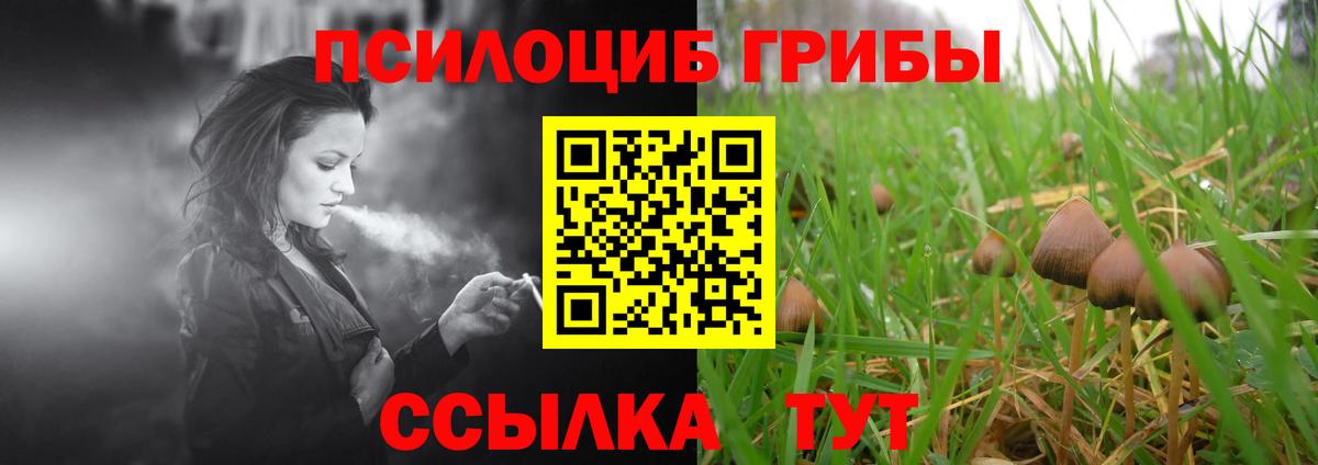 Псилоцибиновые грибы Psilocybine cubensis  Вход с VPN  Галлюциногенные грибы Psilocybe  Королёв 